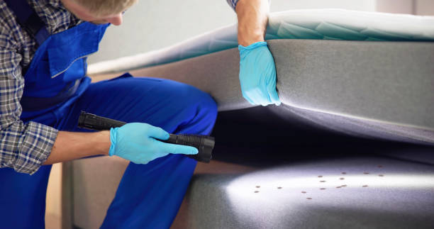 Best Best Pest Control Companies  in Wilmer, TX