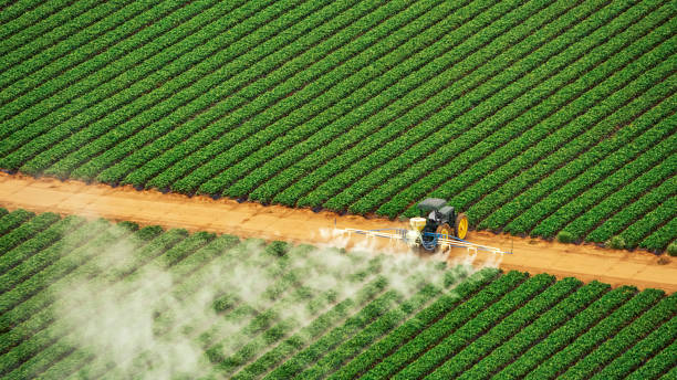 Best Commercial Pest Control Services  in Wilmer, TX