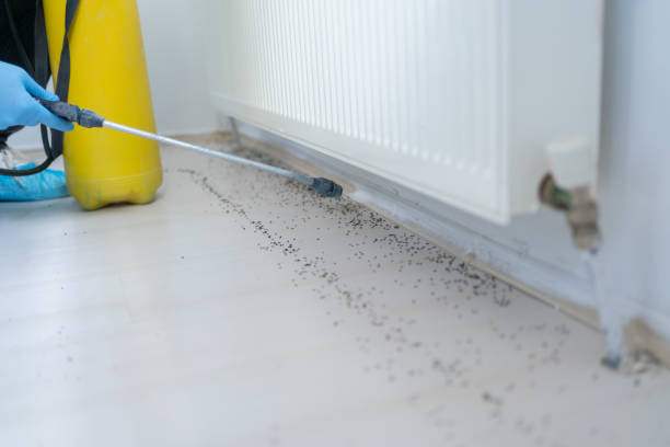 Best Residential Pest Control  in Wilmer, TX