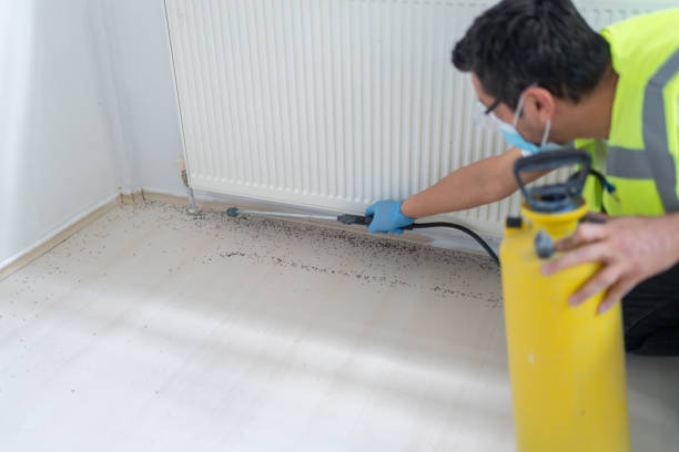 Best Cockroach Control Services  in Wilmer, TX