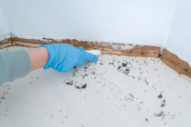 Best Best Pest Control Companies  in Wilmer, TX