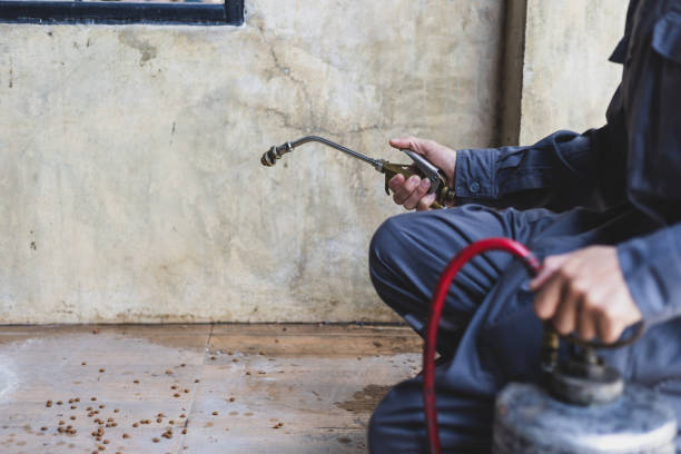 Best Ant Control Services  in Wilmer, TX