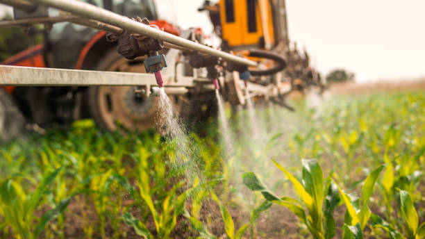 Pest Prevention Services in Wilmer, TX